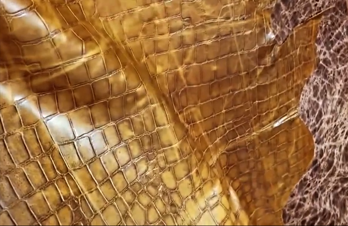 The Best Home Grown Shoe Brands in Recent Years: A New Era for Indian Shoe Brands